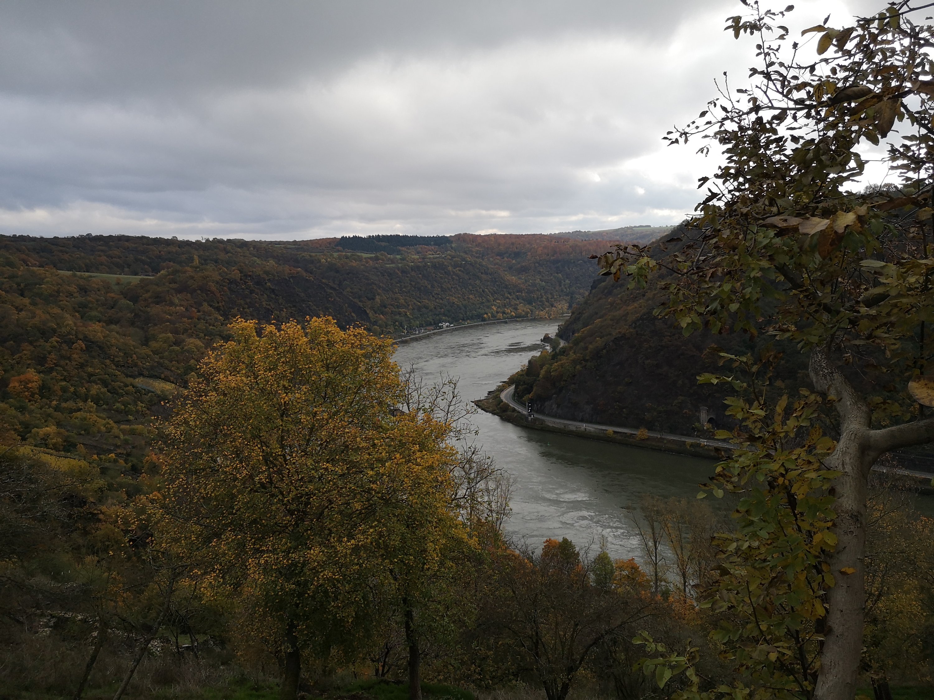 Loreley