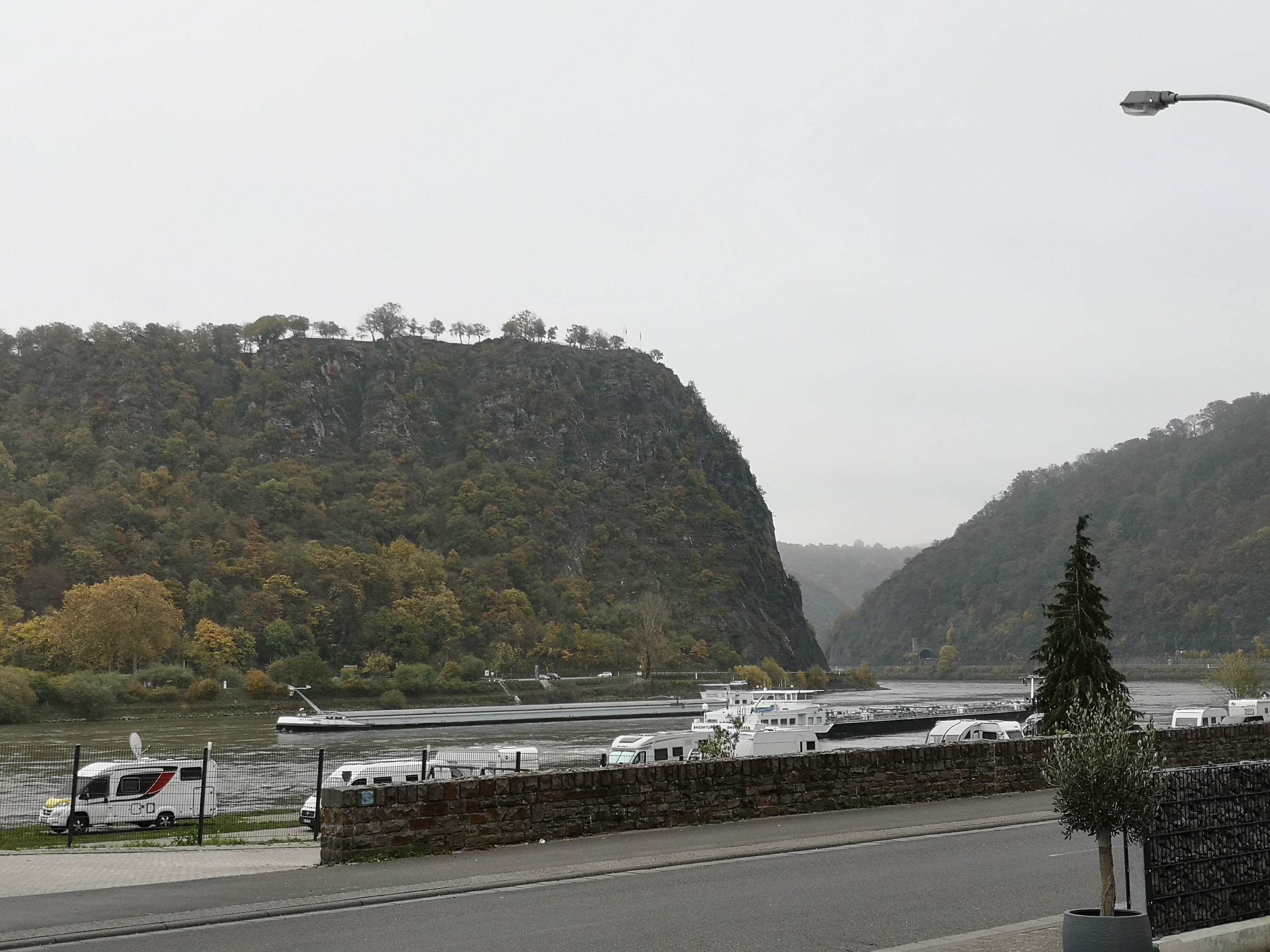 Loreley 