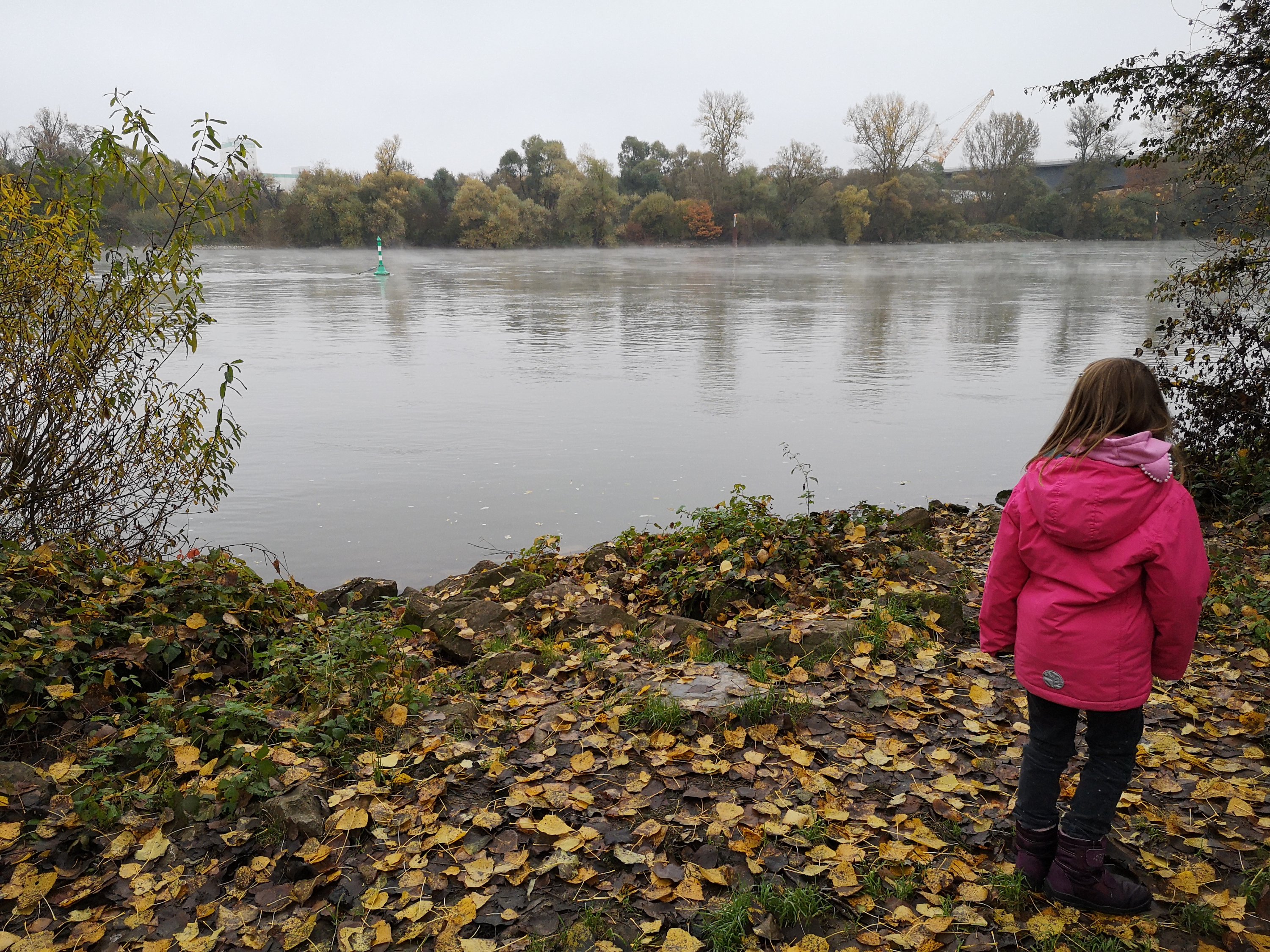 Rhein