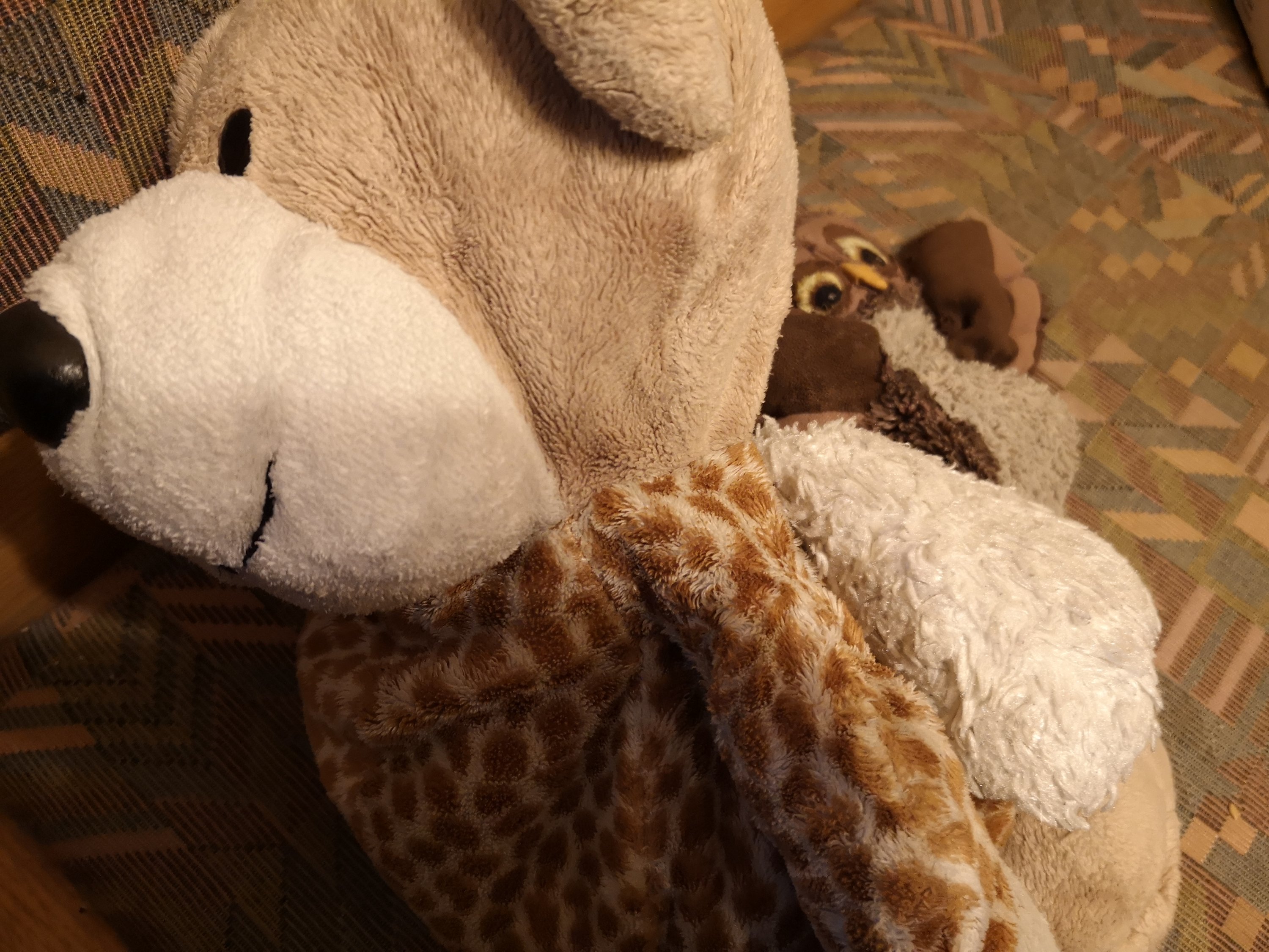 Kuscheltiere