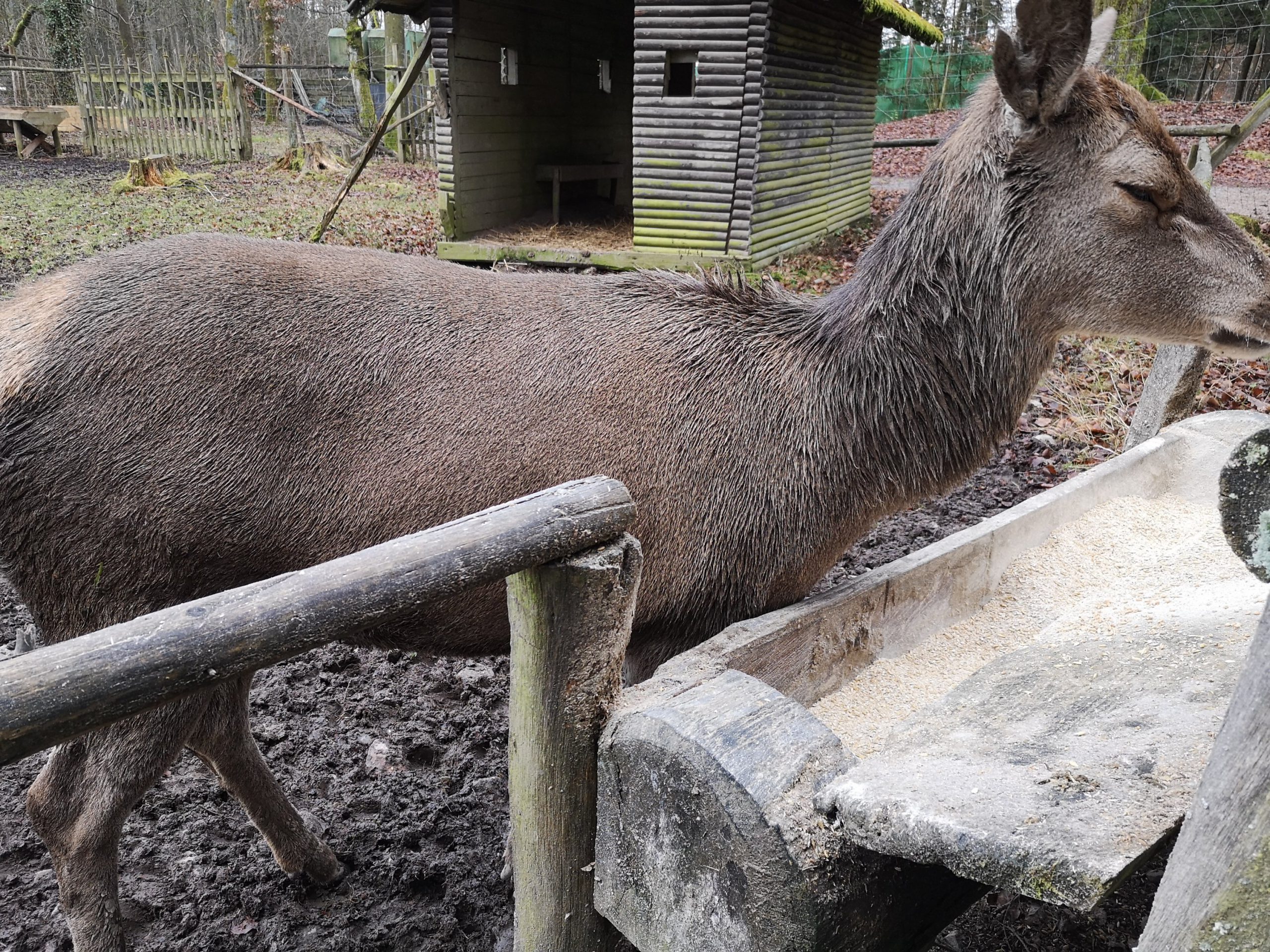 Wildpark