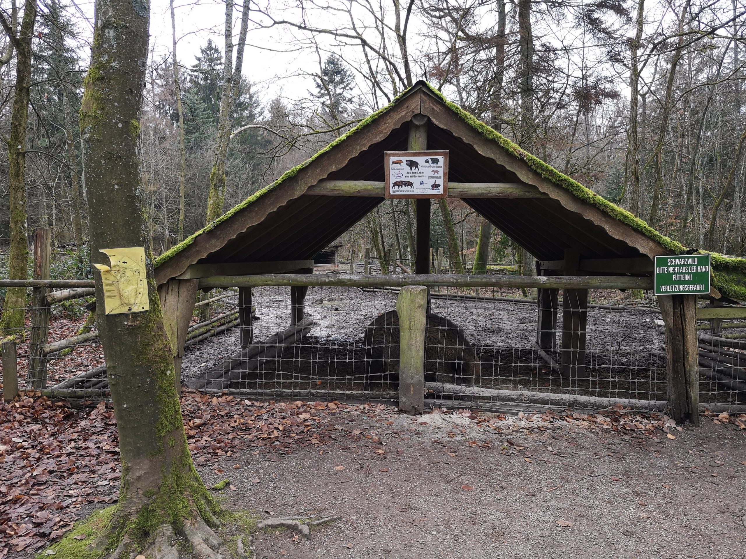 Wildpark