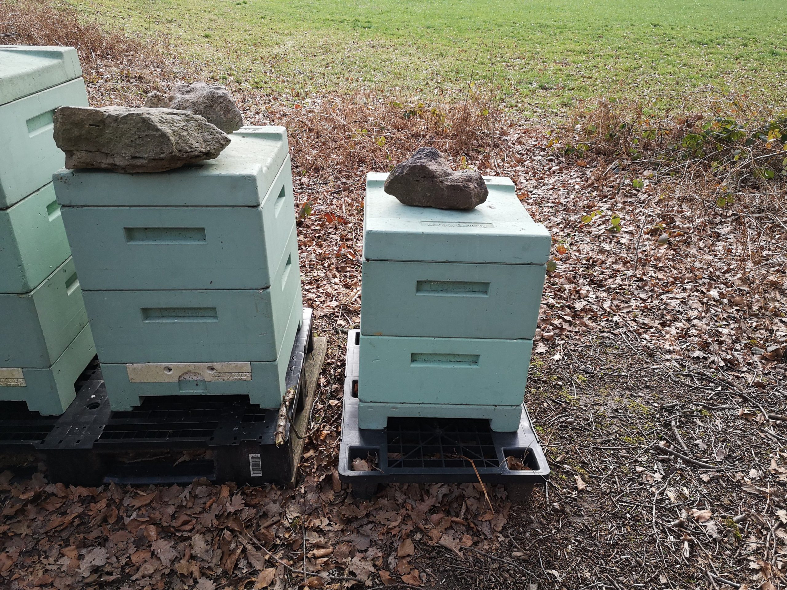 Bienen