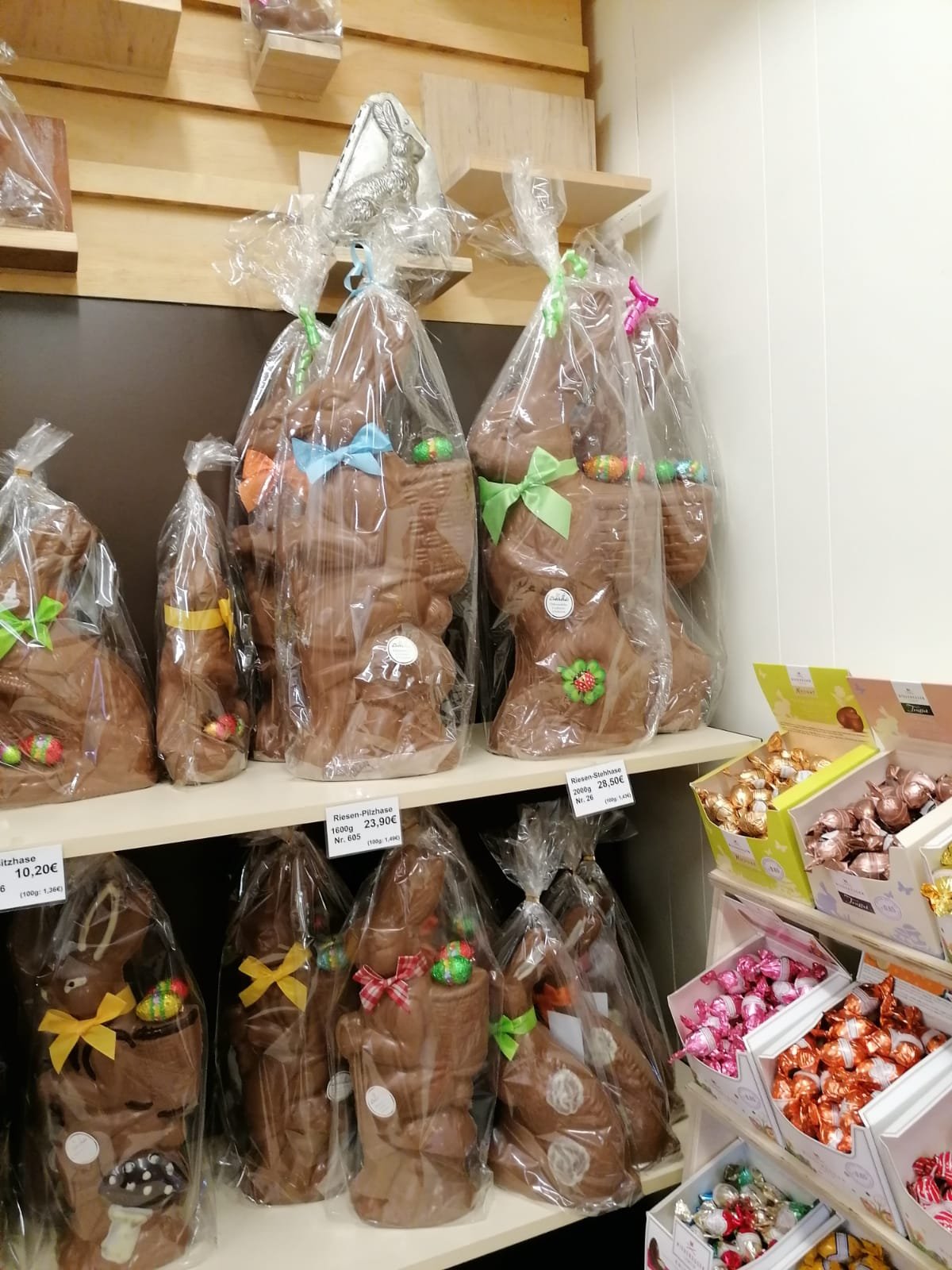 Schokohasen