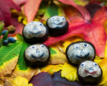 Bunt gestaltete Steine mit herbstlichen Farben